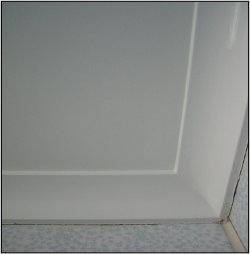 wall after Microbial application